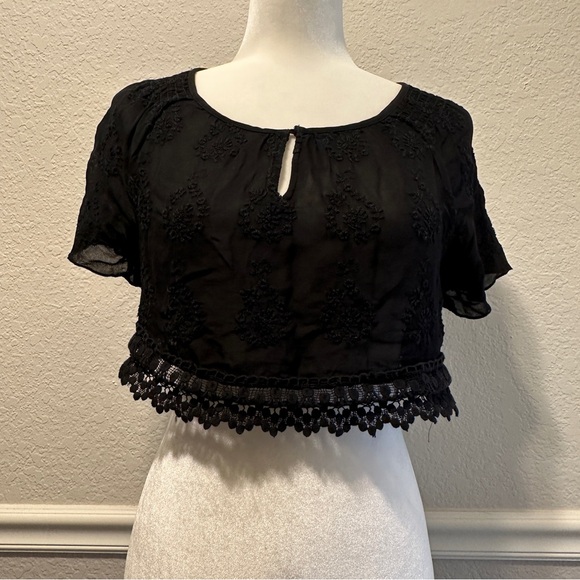 Zara Tops - Zara Embroidered Lace Sheer Crop Top Size S